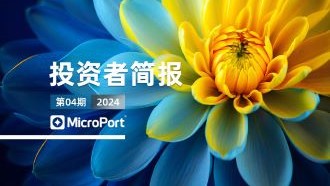  2024年投资者简报（04期）